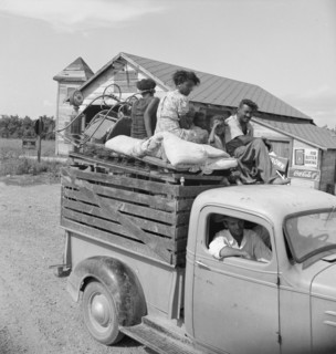 Mississippi Delta, on Mississippi Highway No. 1 between Greenville and Clarksdale , 1938. Creator: Dorothea Lange.