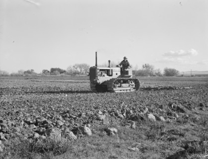 Cultivating potato field, California, 1939. Creator: Dorothea Lange.