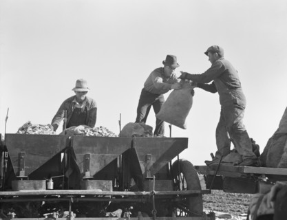 Loading bins of potato planter which fertilizes and plants potatoes..., Kern County, CA, 1939. Creator: Dorothea Lange.