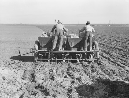 Large-scale, mechanized farming - potato planter, Kern County, California, 1939. Creator: Dorothea Lange.