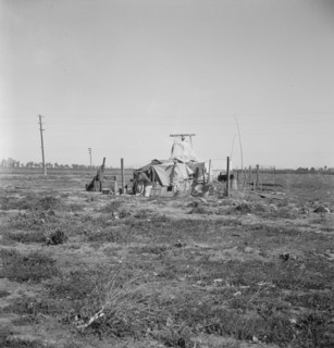 Squatter camp, Patterson, California , 1939. Creator: Dorothea Lange.