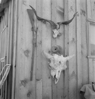 Side of Cates' new house, Malheur County, Oregon, 1939. Creator: Dorothea Lange.