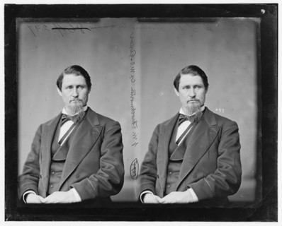 James Webb Throckmorton of Texas, 1865-1880.  Creator: Unknown.