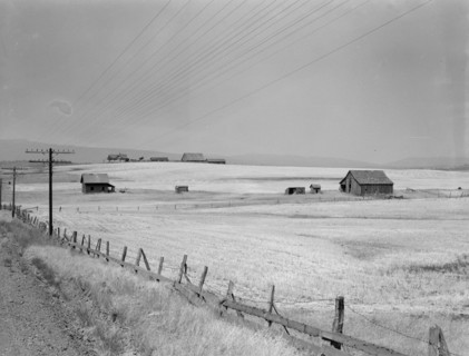 Washington, Klickitat County, near Goldendale, 1939. Creator: Dorothea Lange.