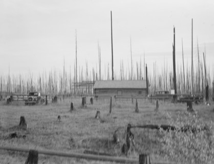 Home of the FSA borrower who moved on this land..., Priest River Peninsula, Idaho, 1939. Creator: Dorothea Lange.