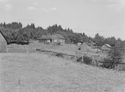 Possibly: Western Washington subsistence farm, whittled out of the stumps, Grays Harbor County, 1939 Creator: Dorothea Lange.