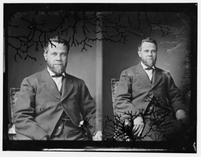 Senator Henry Teller of Colorado, 1865-1880.  Creator: Unknown.