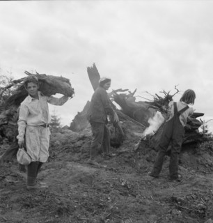 After the bulldozer has taken out and piled the heavy stumps..., Michigan Hill, Washington, 1939. Creator: Dorothea Lange.