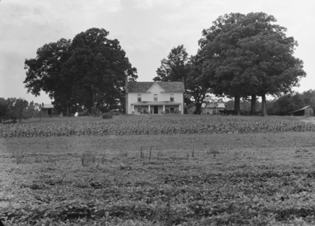 Prosperous farmer's house and farm landscape seen from the road, near Colbreth, North Carolina, 1939 Creator: Dorothea Lange.