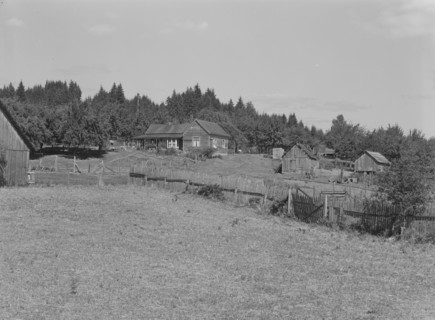 Western Washington subsistence farm, whittled out of the..., Grays Harbor County, Washington, 1939. Creator: Dorothea Lange.