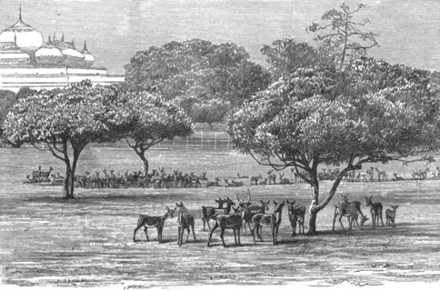 ''An Indian Prince at Home; The Palace and Grounds of the Maharajah of Dharbhanga, K.C.I.E.,In the P Creator: Unknown.