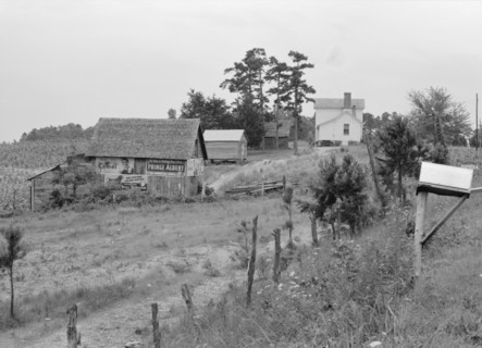 General view of a hillside farm which faces the road..., Person County, North Carolina, 1939. Creator: Dorothea Lange.