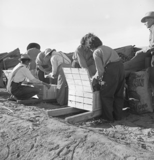 Large-scale industrialized agriculture, Calipatria, Imperial Valley, California, 1939. Creator: Dorothea Lange.