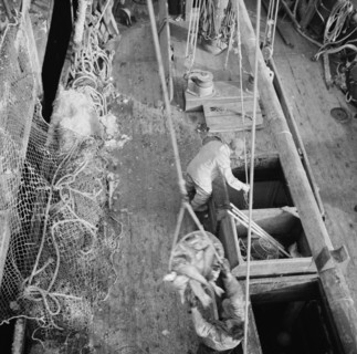 Dock stevedores at the Fulton fish market sending up baskets of fish..., New York, 1943. Creator: Gordon Parks.