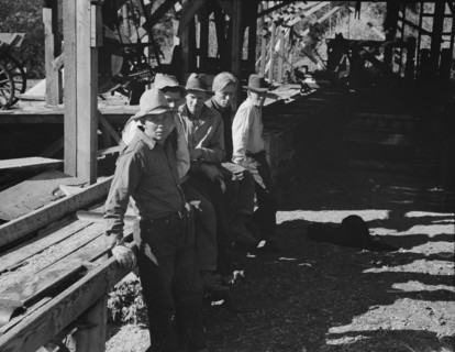 Possibly: Five Idaho farmers, members of Ola self-help sawmill co-op..., Gem County, Idaho, 1939. Creator: Dorothea Lange.