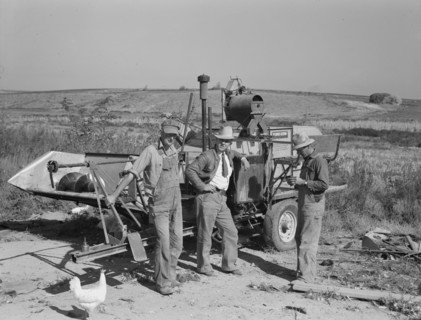 Stephen brothers, Nyssa Heights district, Malheur County, Oregon, 1939. Creator: Dorothea Lange.