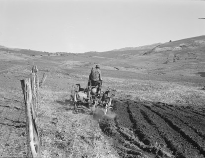 Young Idaho farmer plowing...Ola self-help sawmill co-op..., Gem County, Idaho, 1939. Creator: Dorothea Lange.