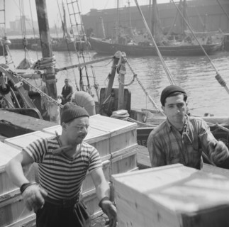 Possibly:  Loaders placing fish that has been taken from boats, boxed, and iced..., New York, 1943. Creator: Gordon Parks.