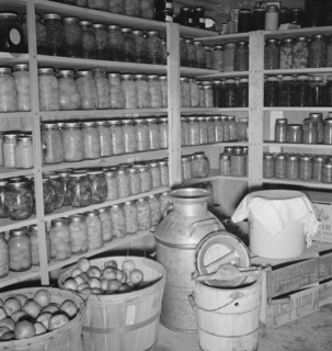 Interior of Mrs. Botner's storage cellar, Nyssa Heights, Malheur County, Oregon, 1939. Creator: Dorothea Lange.