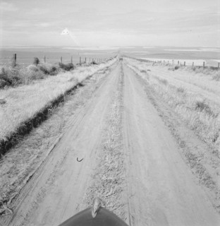Western wheat country in a region which yields..., Umatilla County, Oregon, 1939. Creator: Dorothea Lange.
