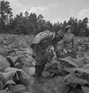 Possibly: Negro tenants...and white owner's children..., Granville County, North Carolina, 1939. Creator: Dorothea Lange.