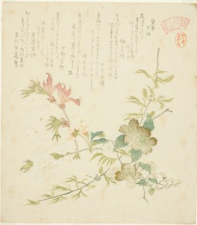 Various Spring Flowers, from the series "Springtime Plants and Trees for the Kasumi Poe..., c. 1820. Creator: Kubo Shunman.