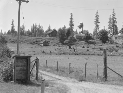 Western Washington stump farm, near Vader, Lewis County, Washington, 1939. Creator: Dorothea Lange.