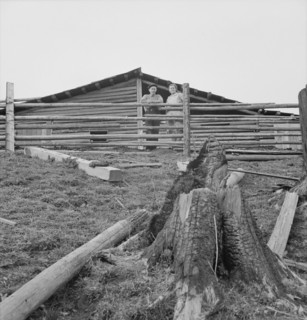 Possibly: Farm family in the cut-over land, Priest River Valley, Bonner County, Idaho, 1939. Creator: Dorothea Lange.