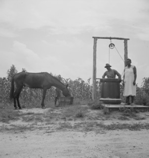Possibly: Noontime chores, Granville County, North Carolina, 1939. Creator: Dorothea Lange.