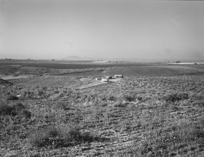 Sage bush, hay field, farmstead, cattle in pasture, Nyssa Heights, Malheur County, Oregon, 1939. Creator: Dorothea Lange.