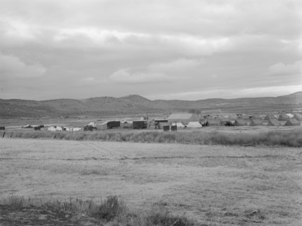Wide view of the first mobile camp unit (FSA), situated in the Klamath Basin, Oregon, 1939. Creator: Dorothea Lange.
