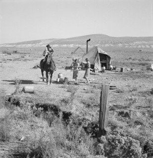 Fairbanks' home, Willow Creek area, Malheur County, Oregon, 1939. Creator: Dorothea Lange.
