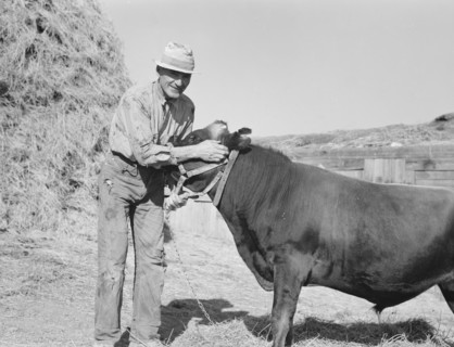 Mr. Botner with bull which he owns..., Nyssa Heights, Malheur County, Oregon, 1939. Creator: Dorothea Lange.