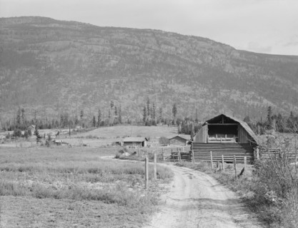 Father's farm in foreground, son's place adjoining, Boundary County, Idaho, 1939. Creator: Dorothea Lange.