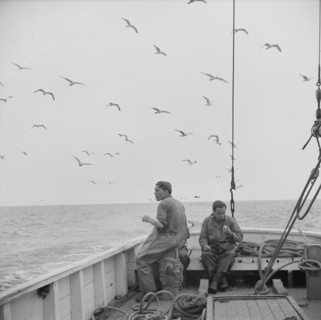 On board the fishing boat Alden, out of Gloucester, Massachusetts, 1943. Creator: Gordon Parks.