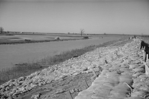 The Bessie Levee, along a subsid...Mississippi River, near Tiptonville, Tennessee, 1937. Creator: Walker Evans.