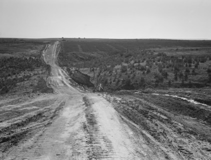 Landscape on top of bench, showing new lands, and farms..., Dead Ox Flat, Oregon, 1939. Creator: Dorothea Lange.