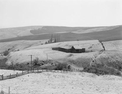 Possibly: Desert stock farm, south central Washington, in region...land has been overgrazed, 1939. Creator: Dorothea Lange.