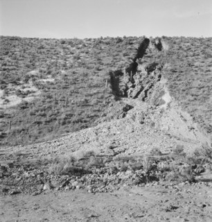 Water seepage from newly irrigated land..., Dead Ox Flat, Malheur County, Oregon, 1939. Creator: Dorothea Lange.