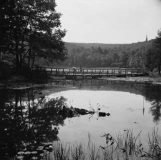 Bridge and background scenery, Camp Gaylord White, Arden, New York, 1943. Creator: Gordon Parks.