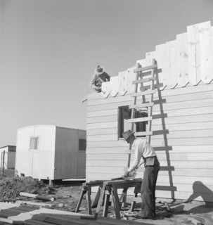 Father and son, recent migrants to California, building house, Salinas, California, 1939. Creator: Dorothea Lange.
