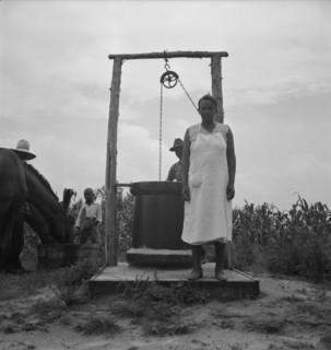 Possibly: Negro sharecropper tobacco farm, Person County, North Carolina, 1939. Creator: Dorothea Lange.