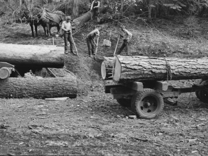 Members of Ola self-help sawmill co-op rolling white fir log..., Gem County, Idaho, 1939. Creator: Dorothea Lange.