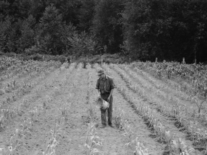 Hand irrigation on small rented...farm, Grays Harbor County, Western Washington, 1939. Creator: Dorothea Lange.