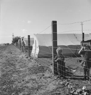 Living conditions for migratory children, pea harvest, outskirts of Calipatria, CA, 1939. Creator: Dorothea Lange.