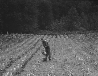 Western Washington, Grays Harbor County, northeast of Elma, 1939. Creator: Dorothea Lange.