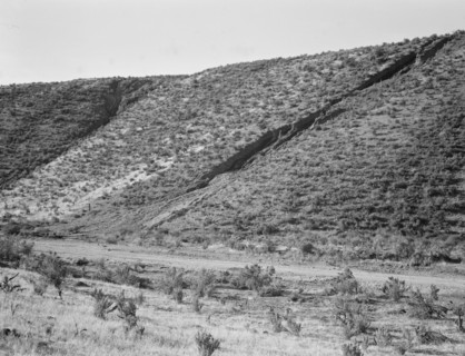 Water seepage from newly irrigated land..., Dead Ox Flat, Malheur County, Oregon, 1939. Creator: Dorothea Lange.