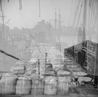 Possibly: Barrels of fish on the docks at the Fulton fish market ready to be..., New York, 1943. Creator: Gordon Parks.