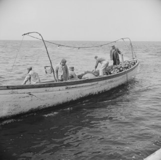 Possibly: On board the fishing boat Alden, out of Gloucester, Massachusetts, 1943. Creator: Gordon Parks.