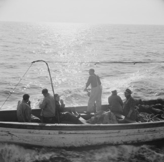 Possibly: On board the fishing boat Alden, out of Glocester, Massachusetts, 1943. Creator: Gordon Parks.